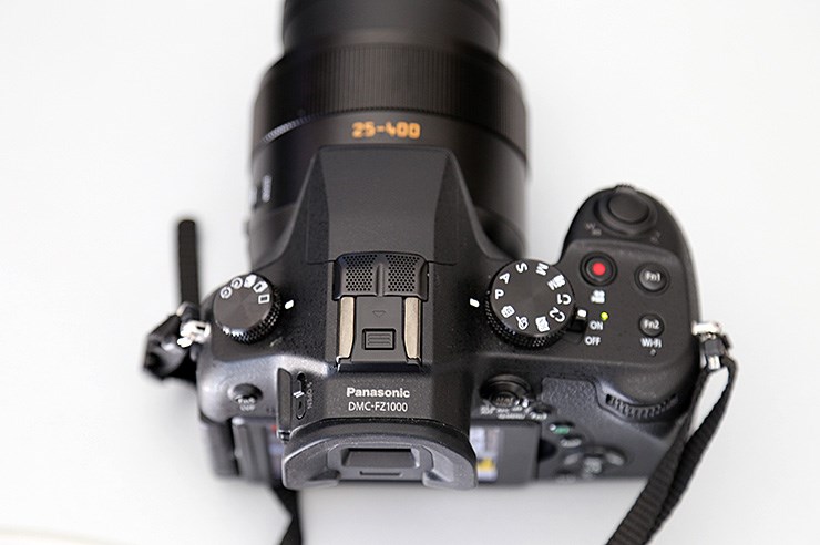 Panasonic FZ1000 (12).JPG